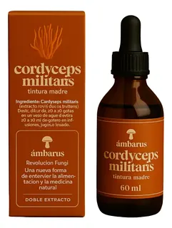 Cordyceps x 60 ml (Ambarus)