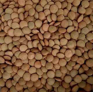 Lentejones x 1 kg
