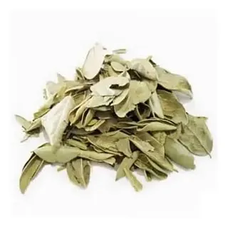 Boldo Yuyo x 1 kg