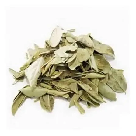 Boldo Yuyo x 1 kg